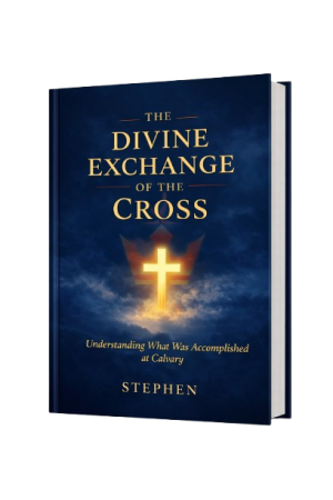 ChatGPT_Image_Feb_14__2026__03_29_29_PM-removebg-preview